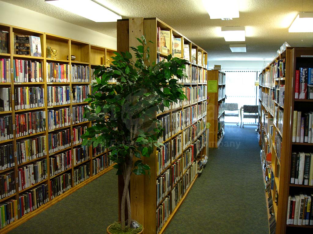 Seven Lakes Library